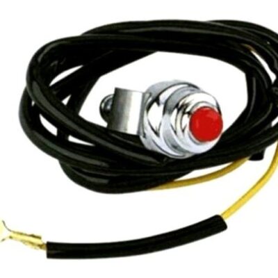 Mini-Trike Kill Switch