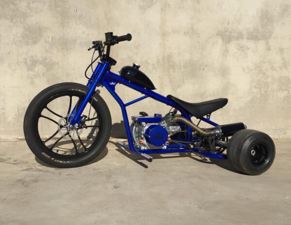 THE BLUE AND BLACK 2025 edition