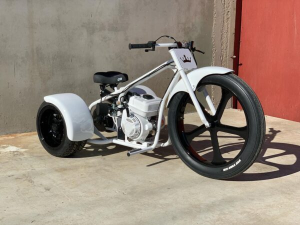THE WHITE AND BLACK 2025 Special Edition